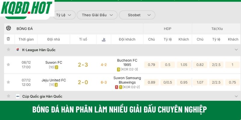 Bóng đá Hàn 